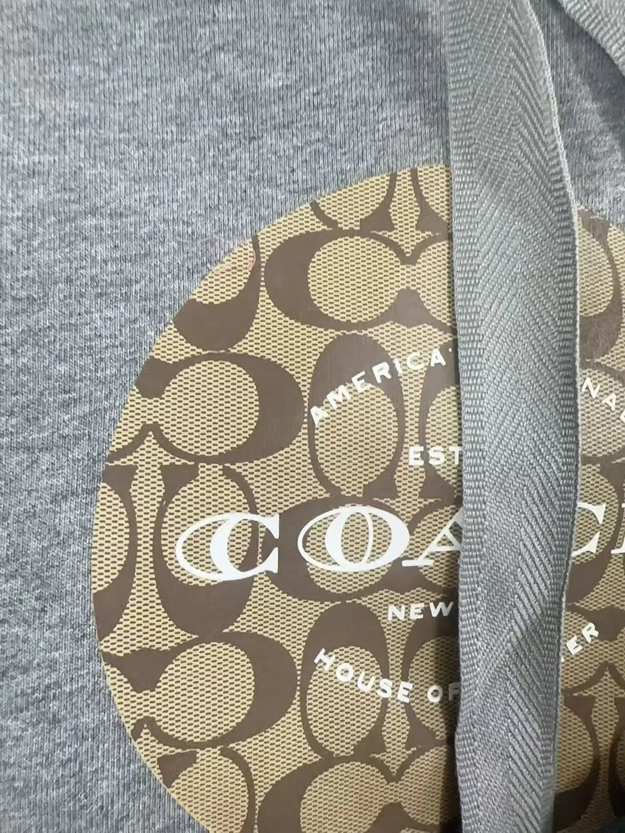Coach Signature Circle Logo Hoodie Gray - 6