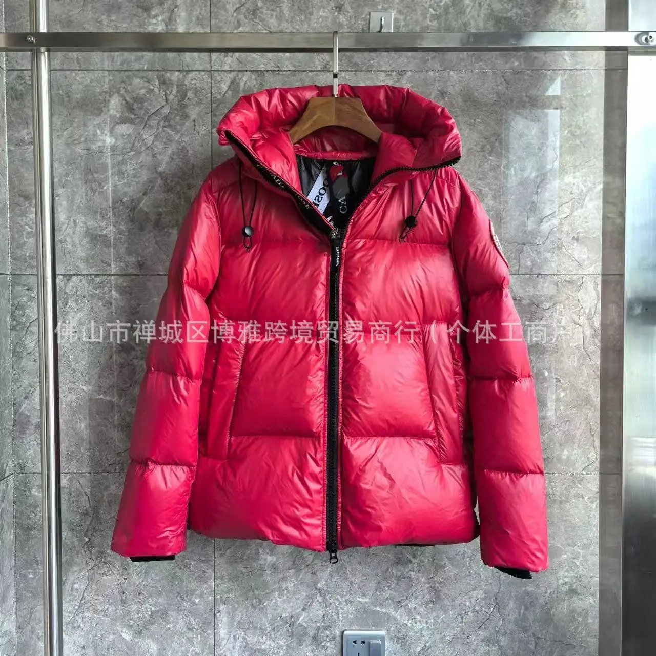 Canada Goose Expedition Parka Silver Metallic Down Jacket - 9