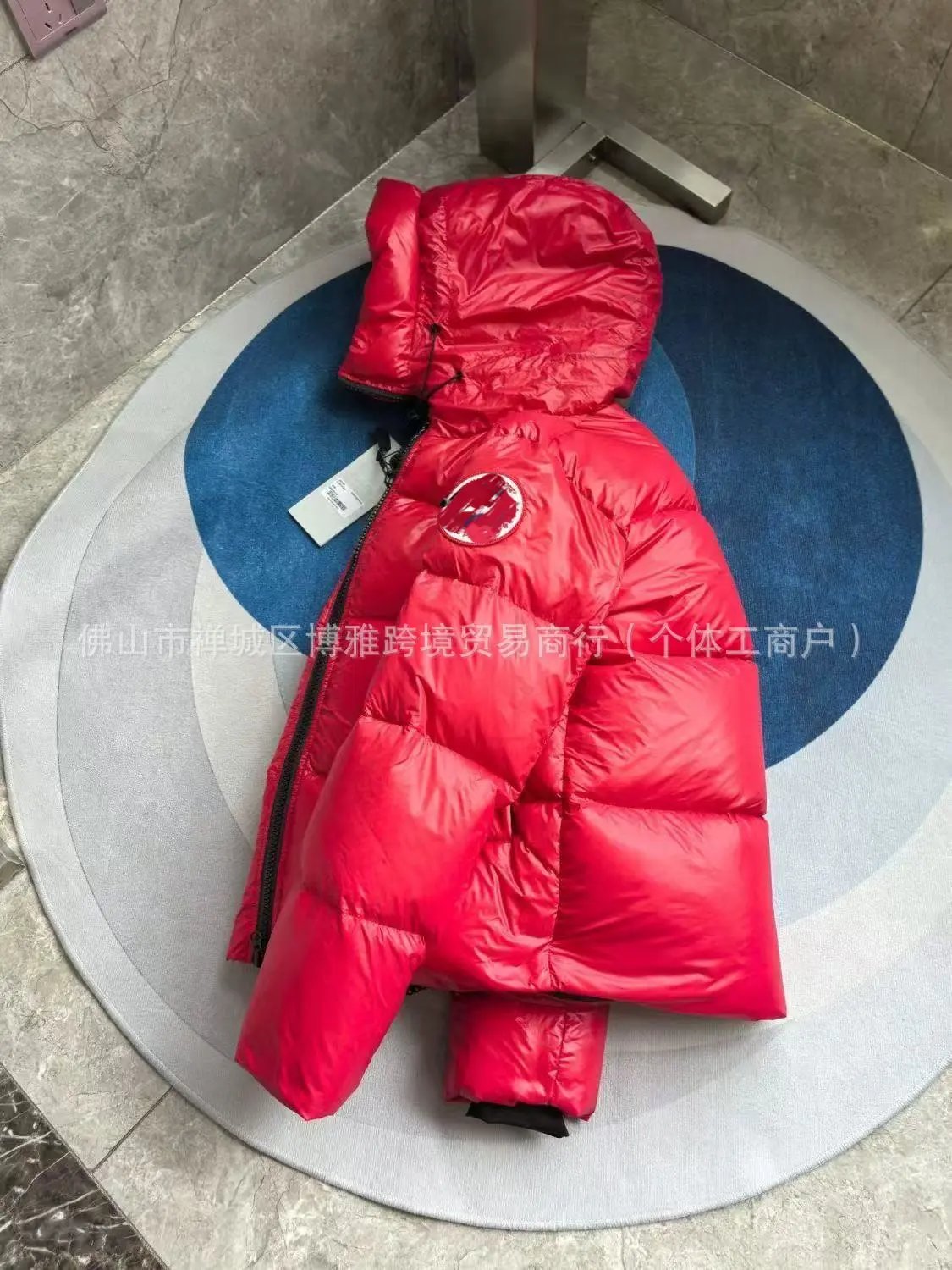 Canada Goose Expedition Parka Silver Metallic Down Jacket - 10