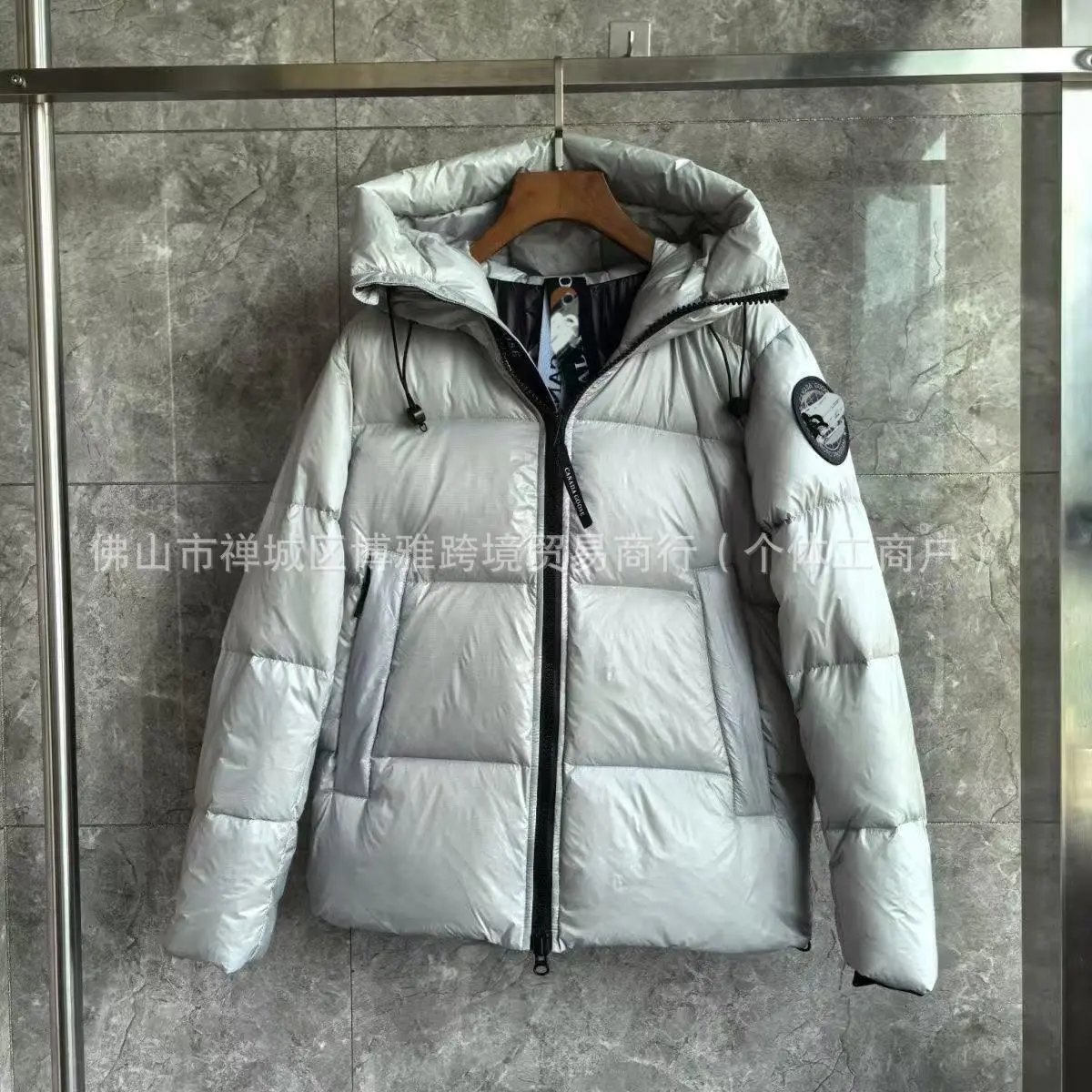 Canada Goose Expedition Parka Silver Metallic Down Jacket - 6