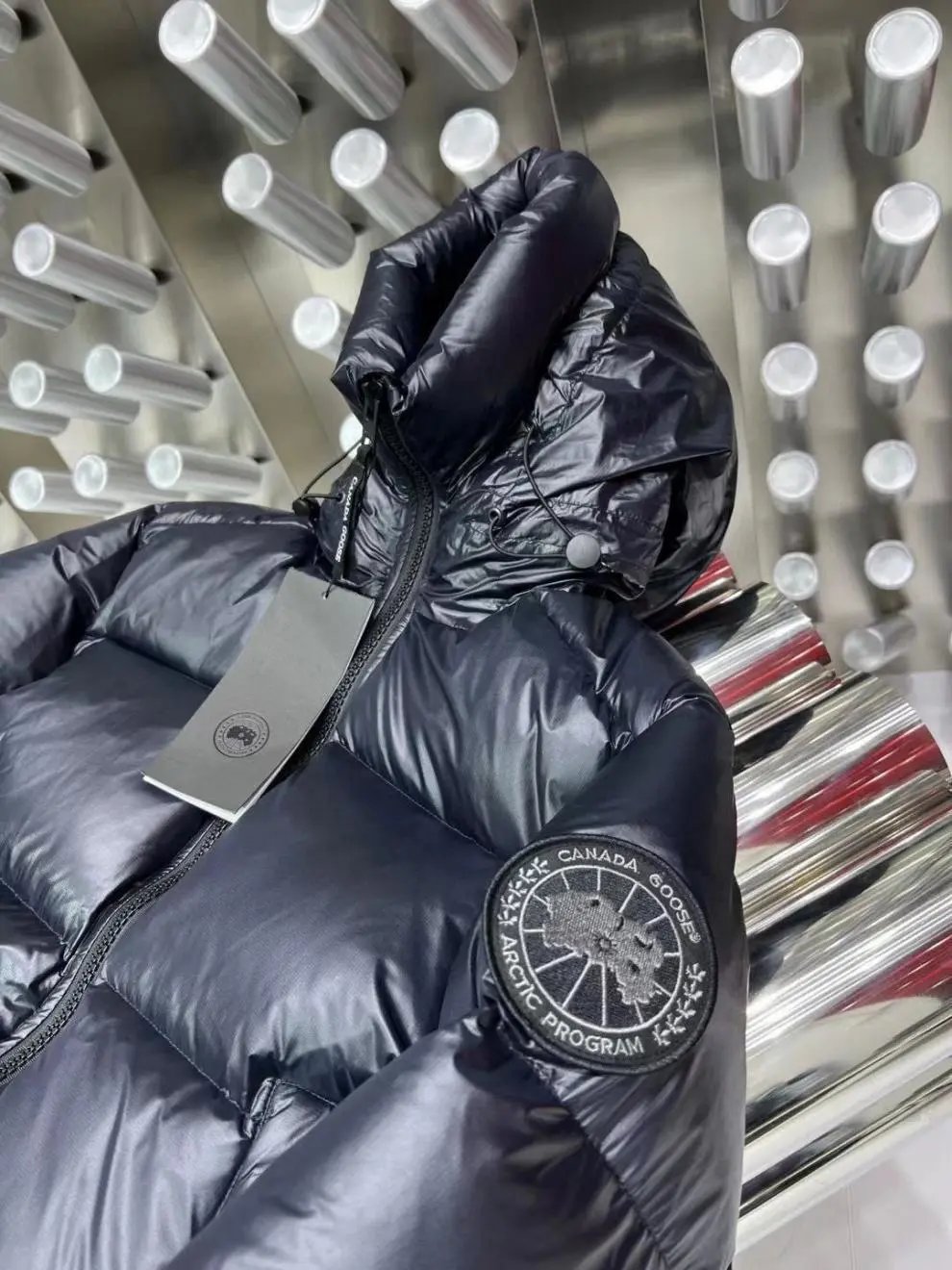 Moncler Genius Down Jacket Silver Metallic - 23
