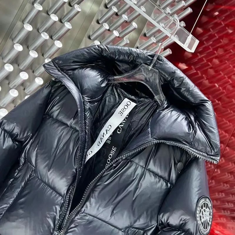 Moncler Genius Down Jacket Silver Metallic - 29