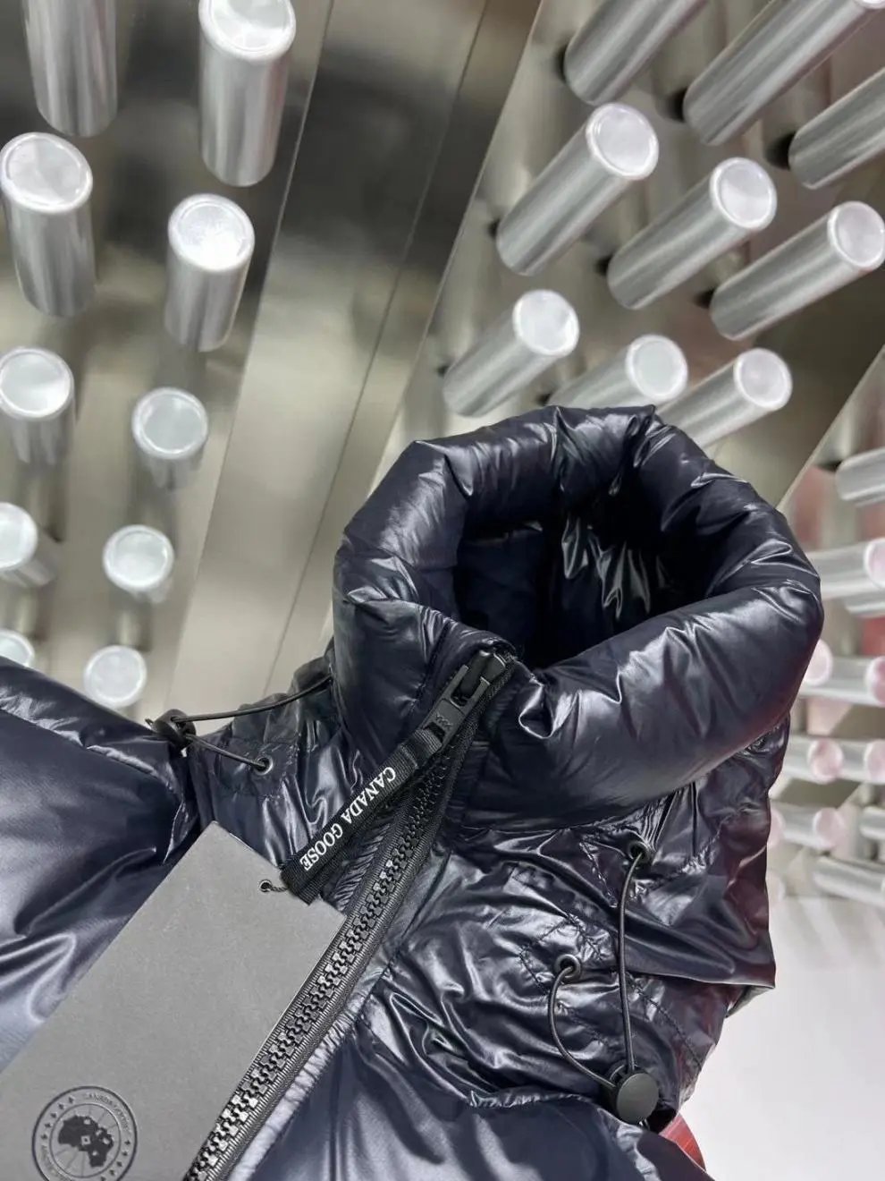 Moncler Genius Down Jacket Silver Metallic - 21