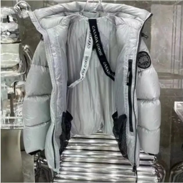 Moncler Genius Down Jacket Silver Metallic - 26