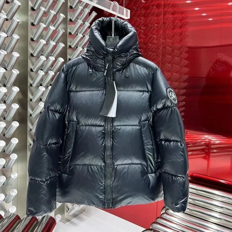 Moncler Genius Down Jacket Silver Metallic - 32