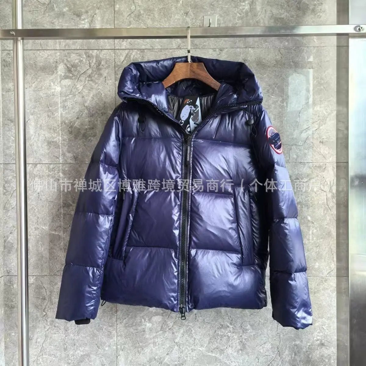 Canada Goose Expedition Parka Silver Metallic Down Jacket - 8