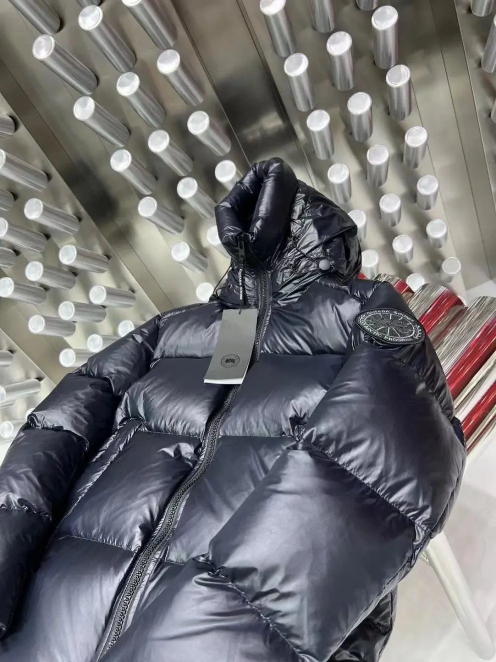 Moncler Genius Down Jacket Silver Metallic - 22