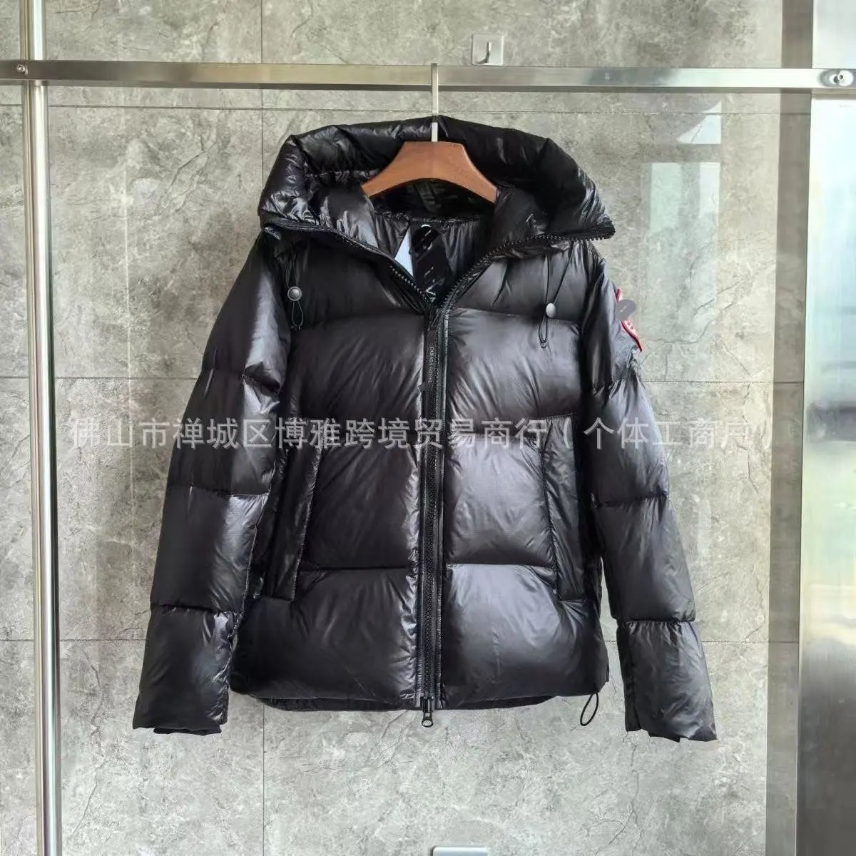 Canada Goose Expedition Parka Silver Metallic Down Jacket - 5