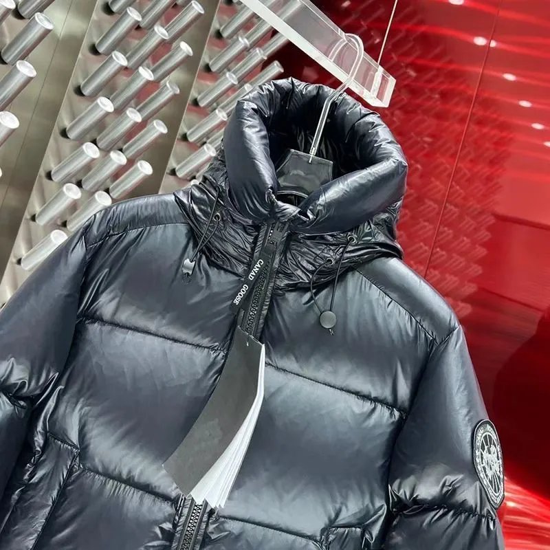 Moncler Genius Down Jacket Silver Metallic - 31