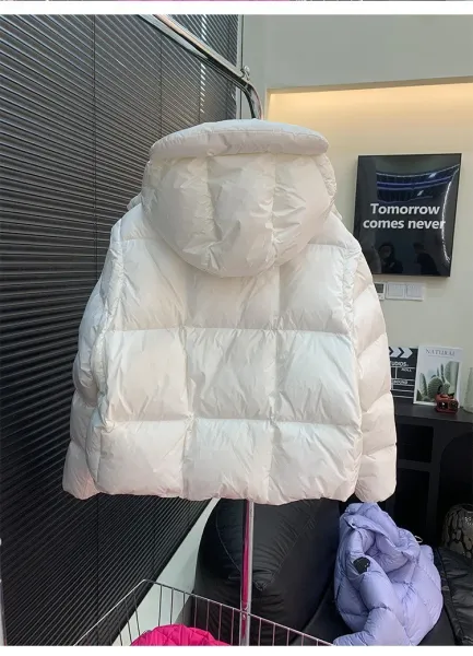 Moncler Genius Down Jacket in Periwinkle Blue with Puffer Design and Detachable Hood - 28