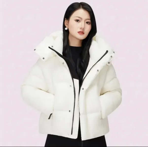 Moncler Genius Down Jacket in Periwinkle Blue with Puffer Design and Detachable Hood - 5
