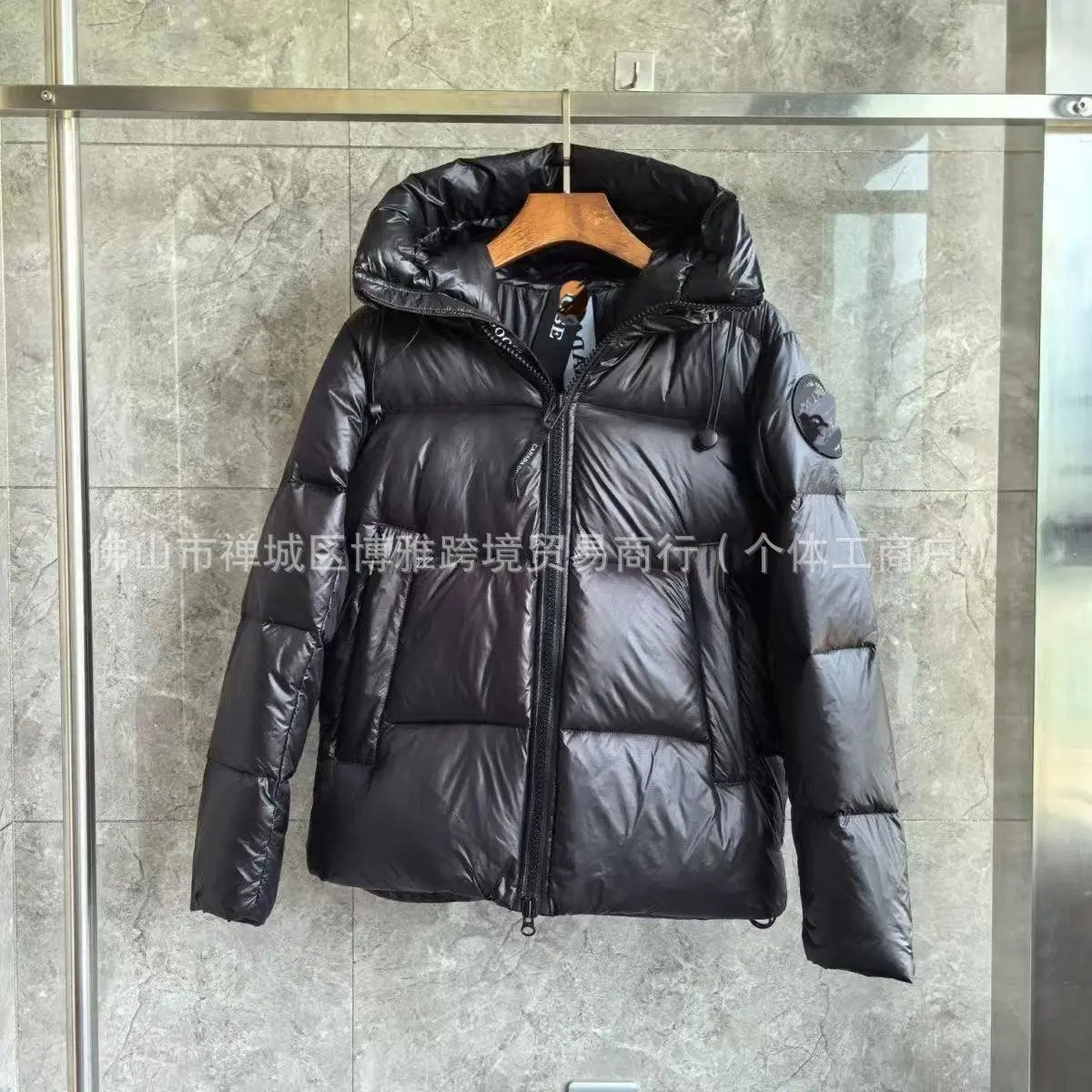 Canada Goose Expedition Parka Silver Metallic Down Jacket - 4