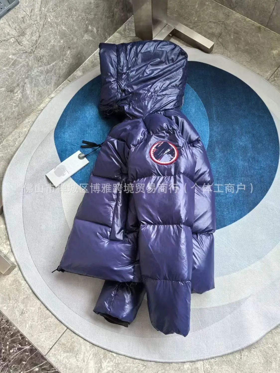 Canada Goose Expedition Parka Silver Metallic Down Jacket - 11