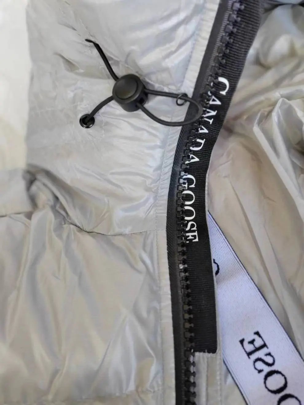 Moncler Genius Down Jacket Silver Metallic - 19