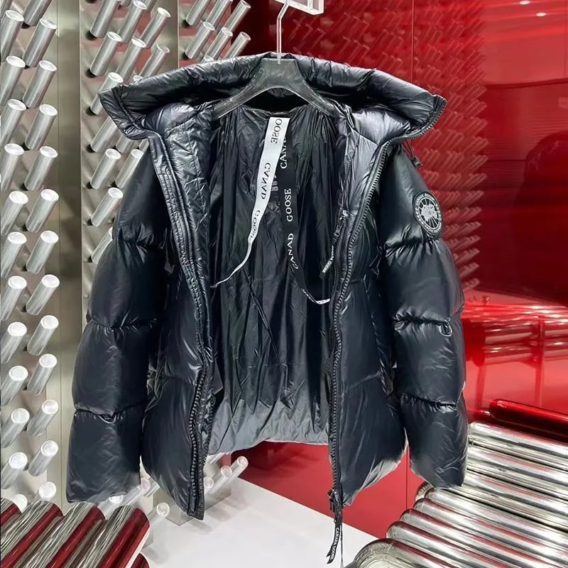 Moncler Genius Down Jacket Silver Metallic - 30