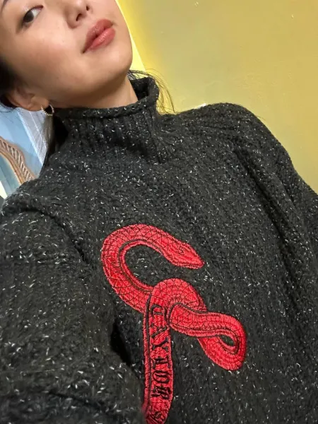 Design Snake Embroidered Turtleneck Sweater Black - 6