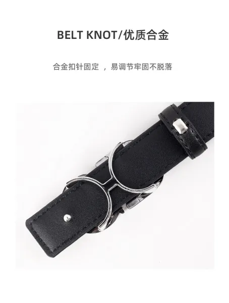 Dior CD Logo Belt Tan Leather Belt - 17