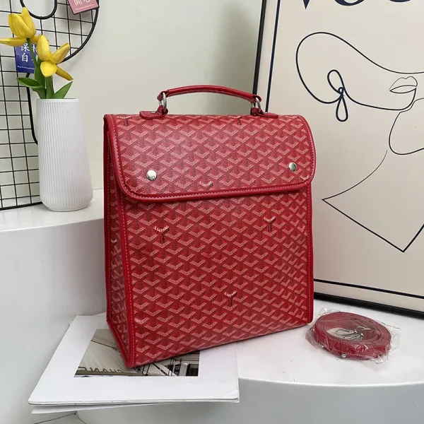 Goyard Saint-Louis PM Red Canvas Handbag - 1
