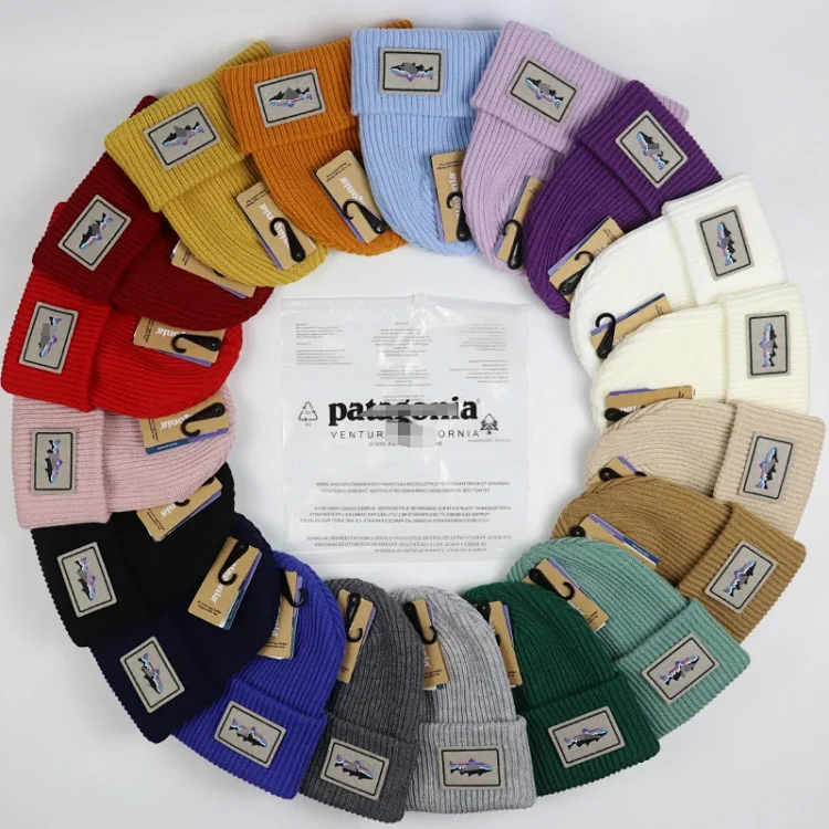 Patagonia Beanie