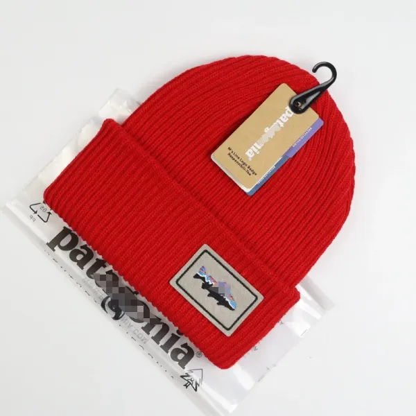 Patagonia M's Line Logo Beanie Red Beanie - 1