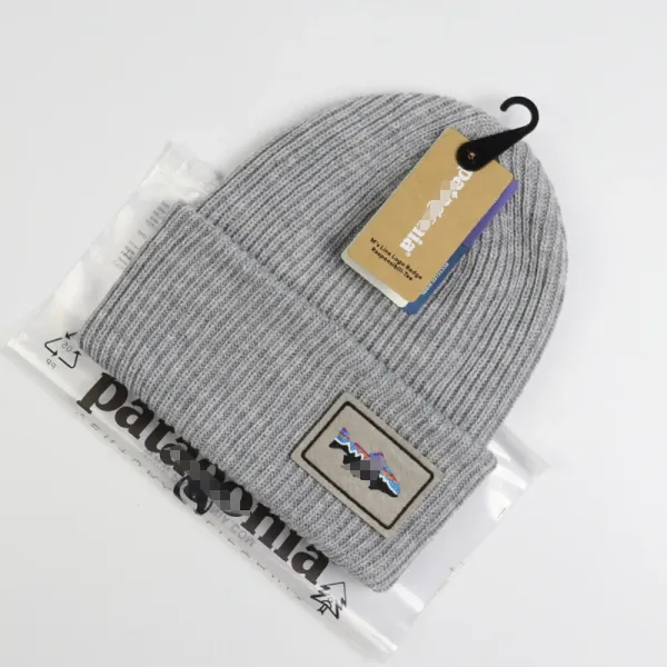 Patagonia Line Logo Ridge Recycled Beanie Gray - 1