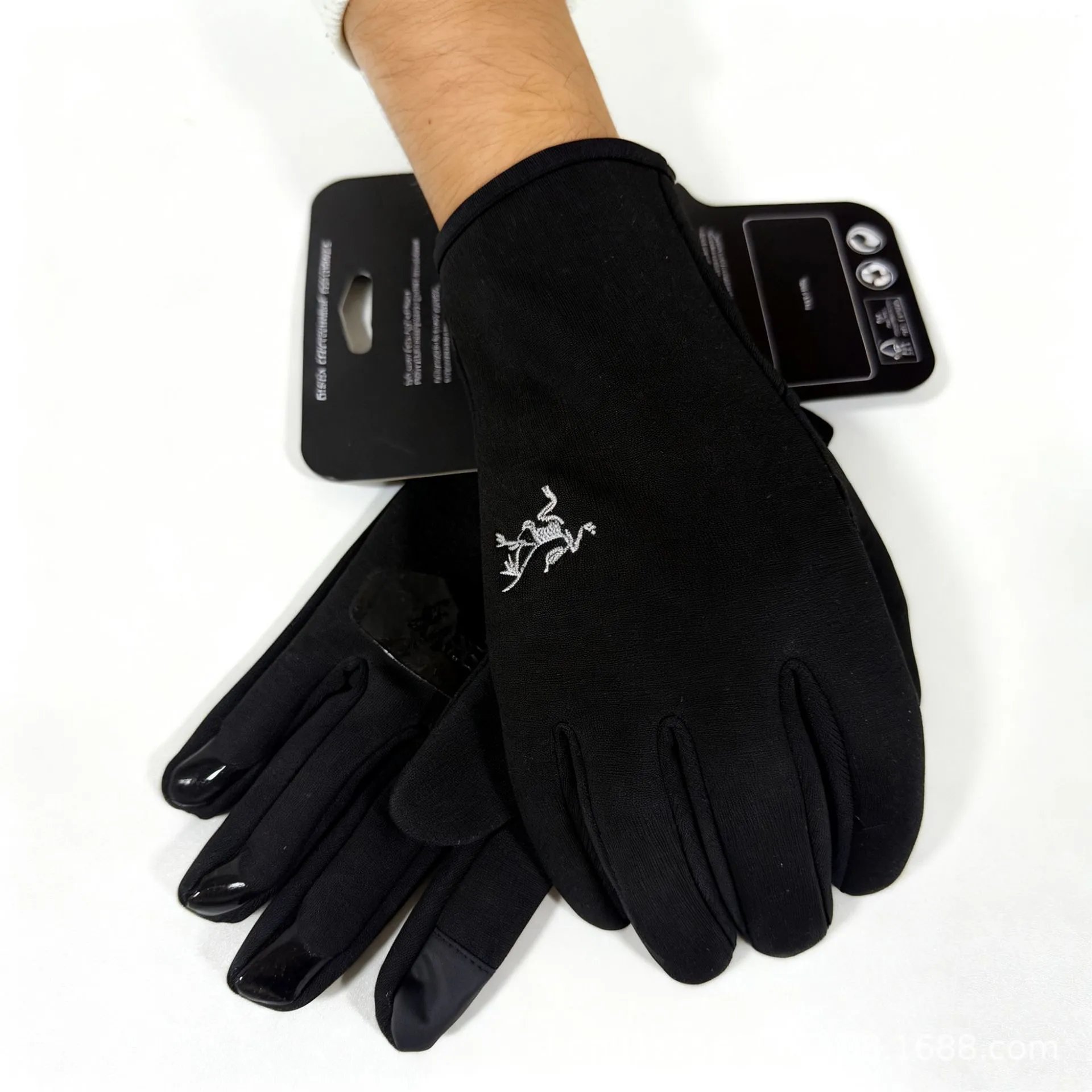 Arc'teryx Gloves [2 