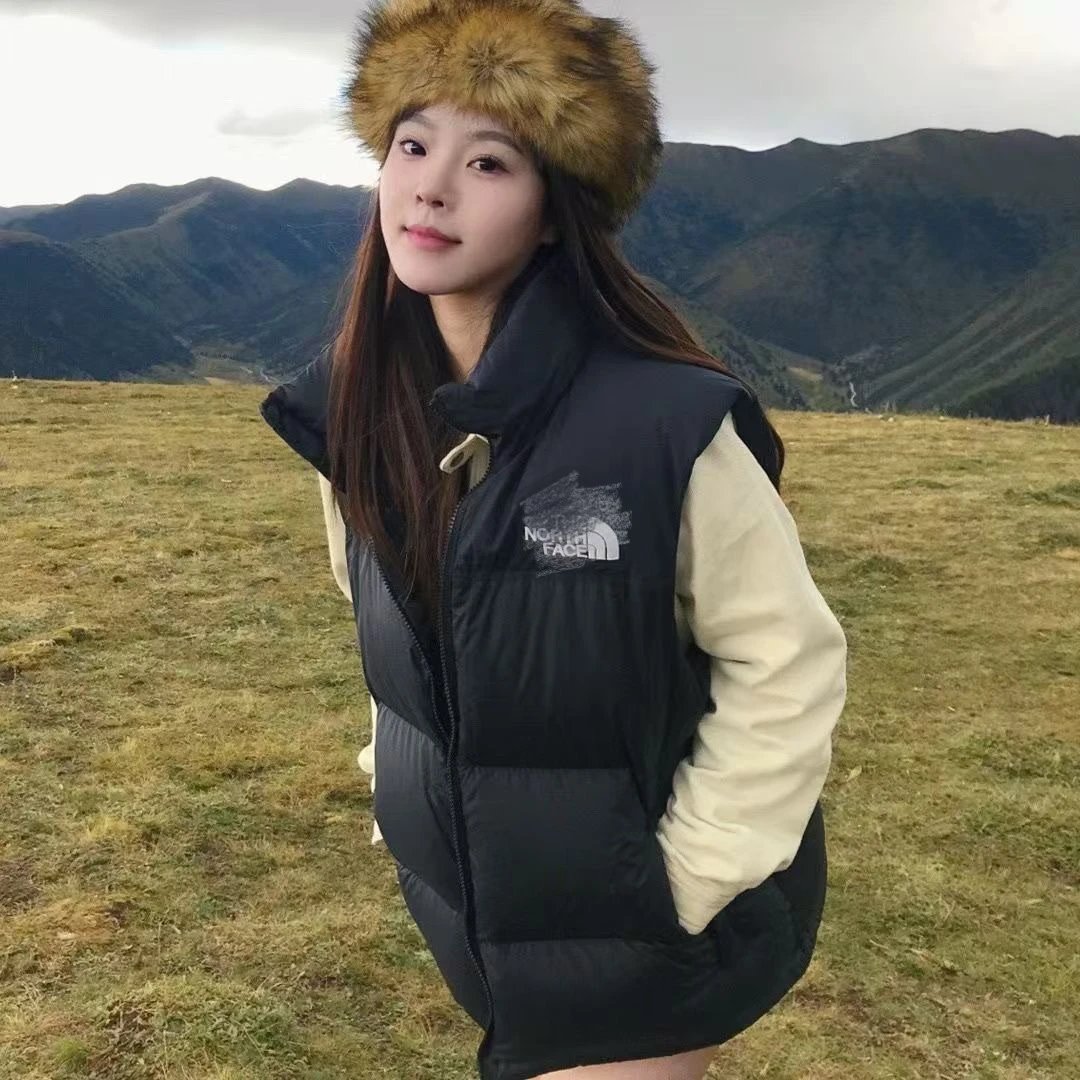 The North Face Vest 2
