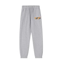 2007 gray