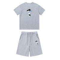 2421 set in gray