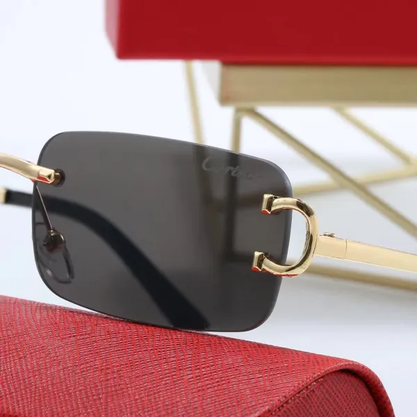 Cartier Panthère Rimless Gradient Blue Sunglasses - 4