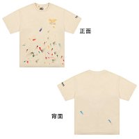 B05 Apricot Color