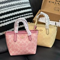 Coach Mini Bag — seller photo 4