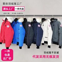 Canada Goose Chilliwack — seller photo 2