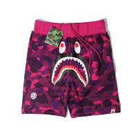 B8602 Purple