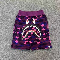 X8003 Purple