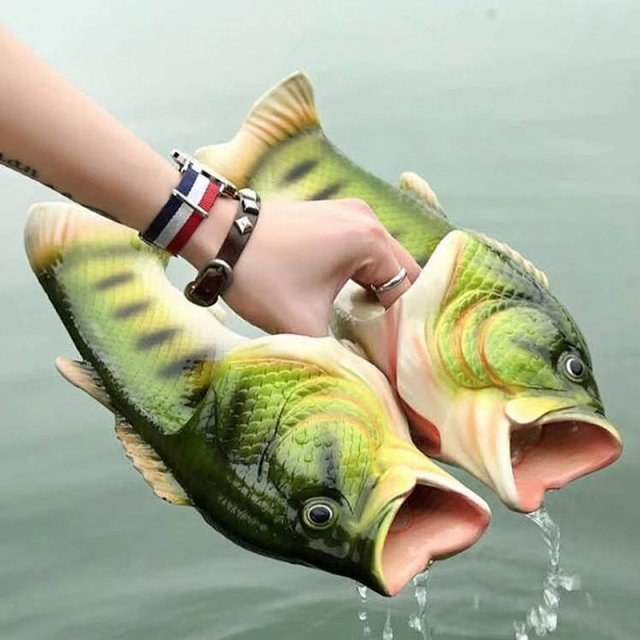 Fish Slides: seller detail photo 4