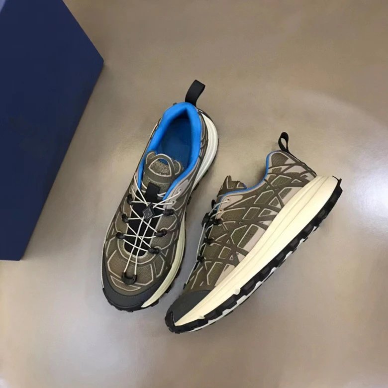 Dior B31 6