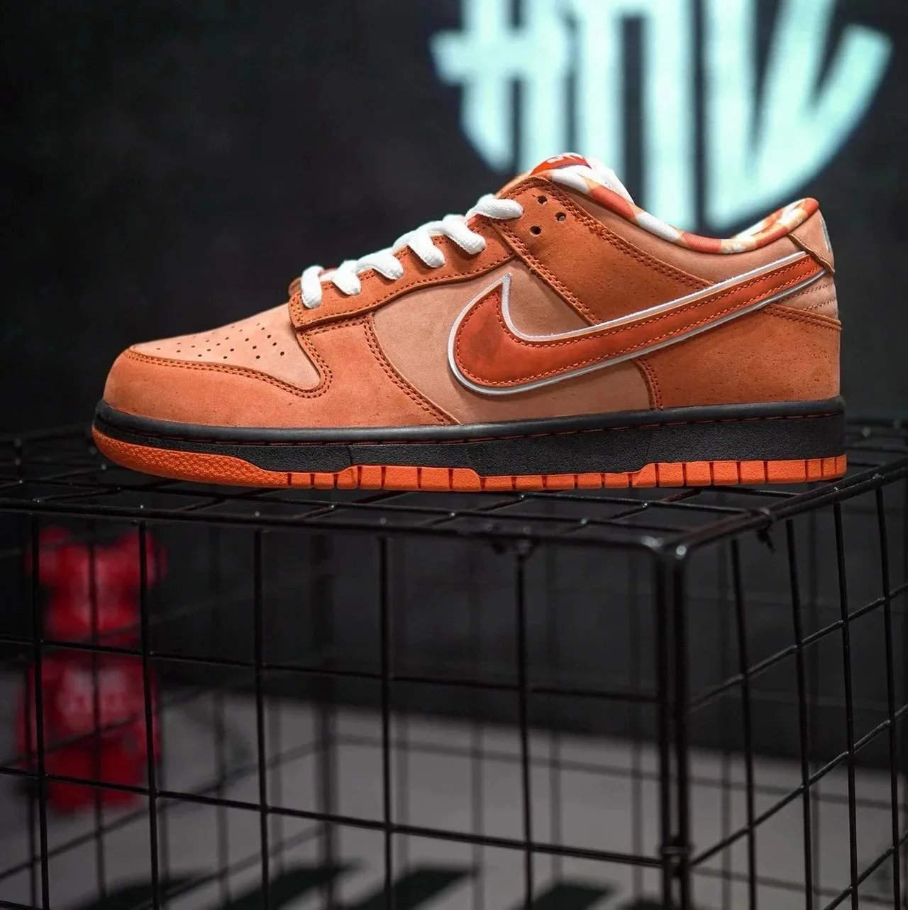 Orange Dragon FD8776 800