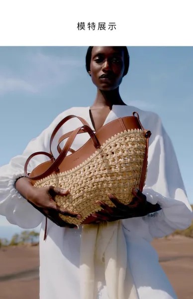 Polène Noé Tote Bag Beige and Brown Raffia Woven Handbag - 18