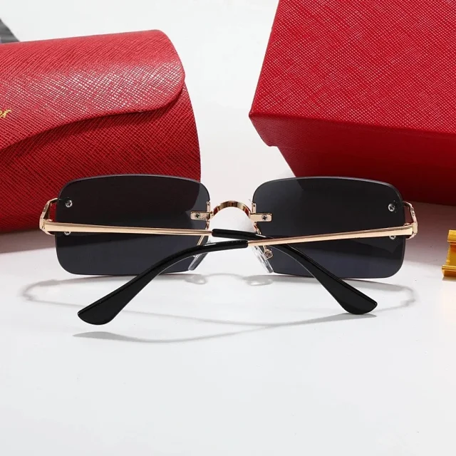 Cartier Eyewear Double-bridge gradient-lens sunglasses product detail image 3