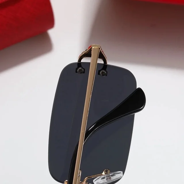 Cartier Eyewear Double-bridge gradient-lens sunglasses product detail image 5