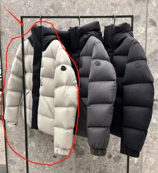Moncler Down Jackets Hooded color-block puffer jacket — 1 (White)