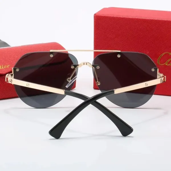 Cartier Panthère De Cartier Sunglasses Silver Frame with Panther Motif Lenses - 5