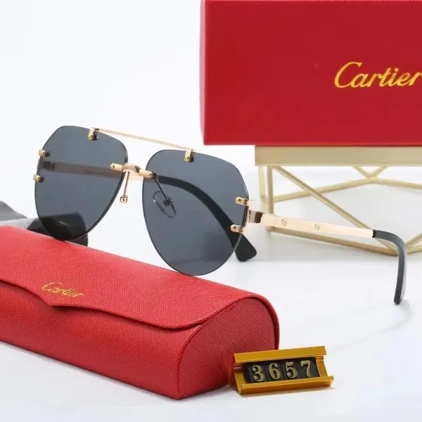 Cartier Panthère De Cartier Sunglasses Silver Frame with Panther Motif Lenses - 8