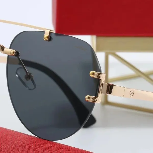 Cartier Panthère De Cartier Sunglasses Silver Frame with Panther Motif Lenses - 6