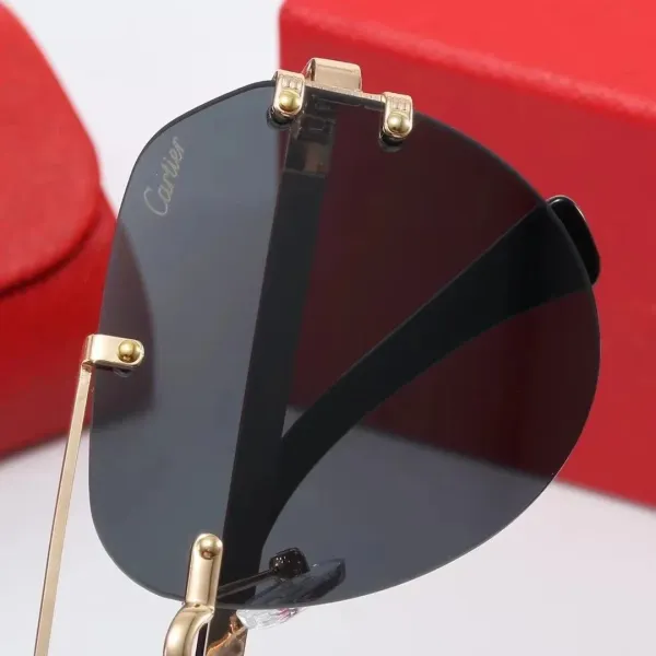 Cartier Panthère De Cartier Sunglasses Silver Frame with Panther Motif Lenses - 7