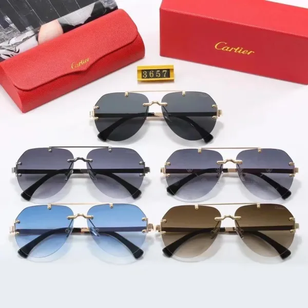 Cartier Panthère De Cartier Sunglasses Silver Frame with Panther Motif Lenses - 3