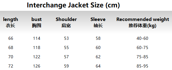 The North Face Mountain Light Jacket Royal Blue Black Outerwear - 3