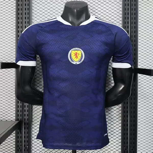 Design Norway National Team Inspired Jersey Red Blue White Jersey - 30