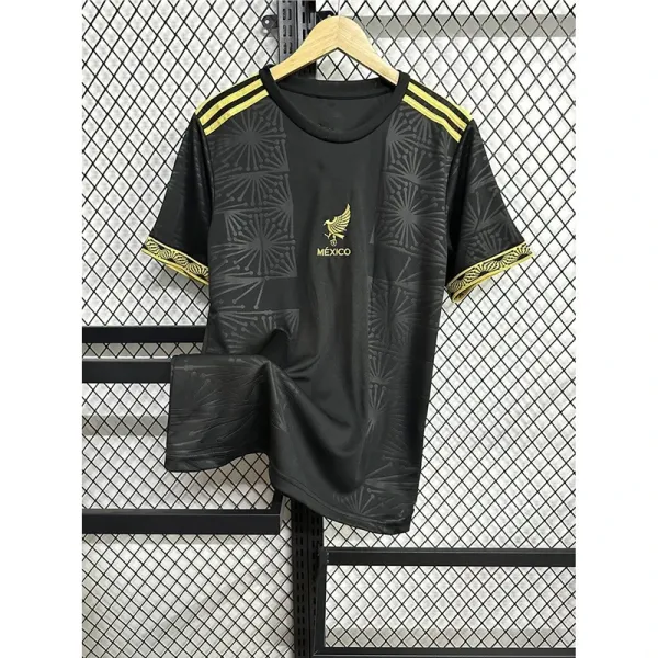 Design Mexico National Team Training Tee Black Gold T-Shirt T-Shirts - 1